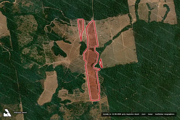 Imagem de satélite de Infração Ambiental em Altamira - PA