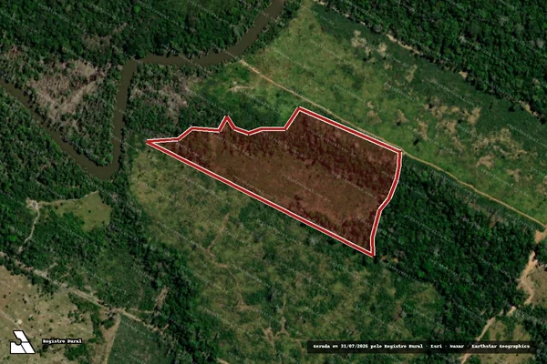 Imagem de satélite de Infração da Flora em Porto Velho - RO