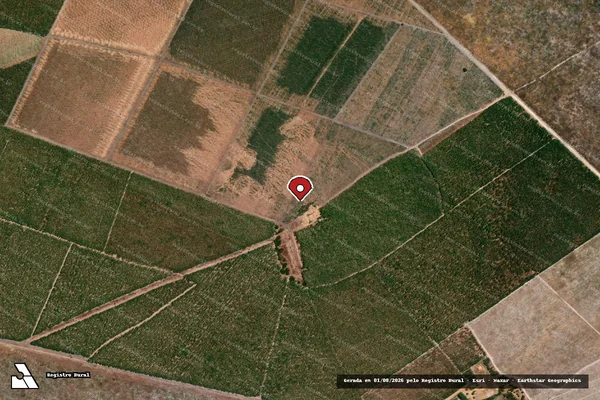 Imagem de satélite — Embargo IBAMA — Infração da Flora — Jerumenha/PI