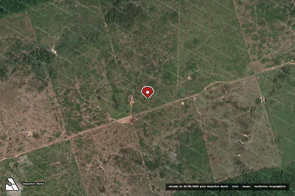 Imagem de satélite de Infração Ambiental em Novo Progresso - PA (marcador da localização)