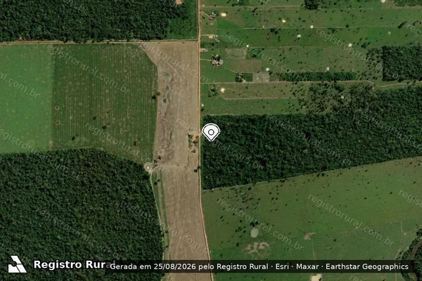 Imagem de satélite de Infração Ambiental em Candeias do Jamari - RO (marcador da localização)