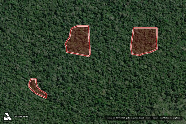 Imagem de satélite de Infração da Flora em Lábrea - AM
