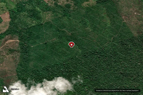 Imagem de satélite de Infração Ambiental em Uruará - PA (marcador da localização)