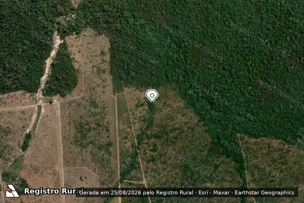 Imagem de satélite de Infração Ambiental em Novo Progresso - PA (marcador da localização)