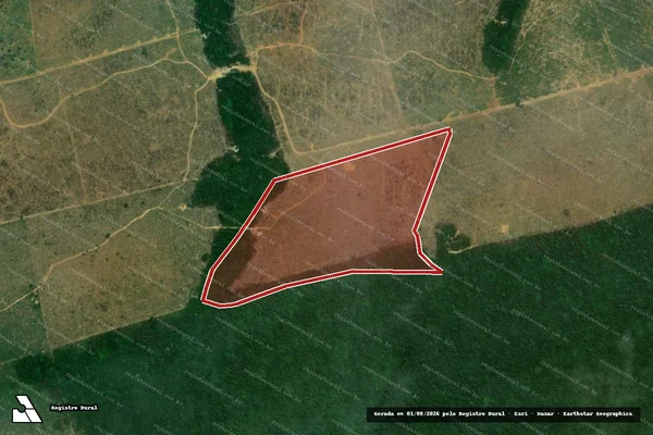 Imagem de satélite de Infração da Flora em Novo Progresso - PA