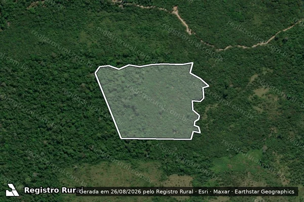 Imagem de satélite de Infração da Flora em Pacajá - PA