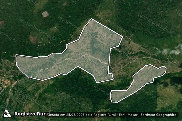 Imagem de satélite de Infração da Flora em São Félix do Xingu - PA