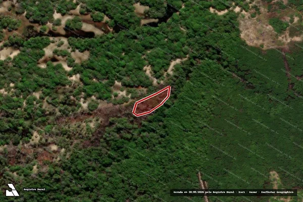 Imagem de satélite — Embargo IBAMA — Infração da Flora — Brejo Grande/SE