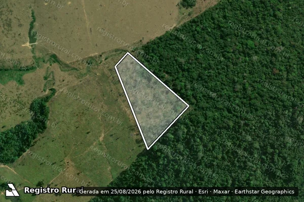Imagem de satélite de Infração Ambiental em Apuí - AM