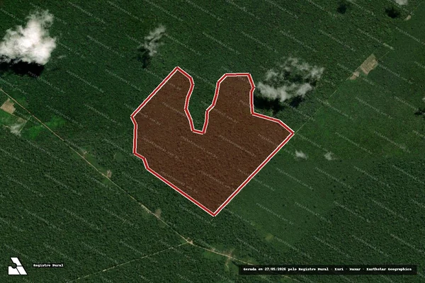 Imagem de satélite de Infração Ambiental em Uruará - PA