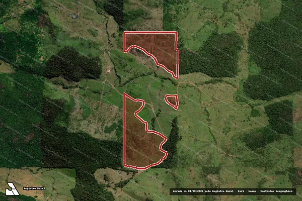 Imagem de satélite de Infração da Flora em Cacaulândia - RO