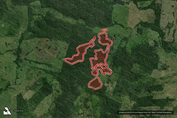 Imagem de satélite de Infração da Flora em Alenquer - PA