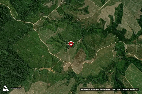Imagem de satélite de Infração Ambiental em Paragominas - PA (marcador da localização)
