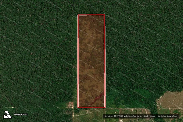 Imagem de satélite de Infração Ambiental em Porto Velho - RO