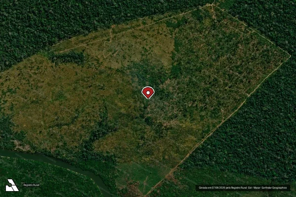 Imagem de satélite de Infração Ambiental em Porto Velho - RO (marcador da localização)