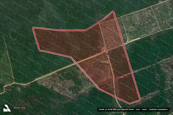 Imagem de satélite de Infração da Flora em Novo Progresso - PA