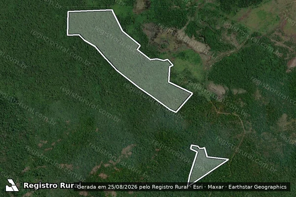 Imagem de satélite de Infração da Flora em São Félix do Xingu - PA