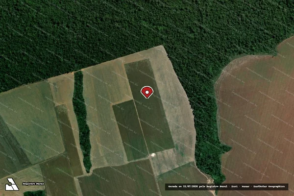Imagem de satélite de Infração da Flora em Altamira - PA (marcador da localização)