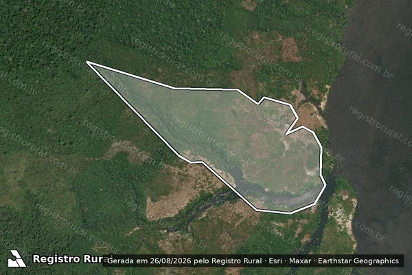 Imagem de satélite de Infração da Flora em Parintins - AM