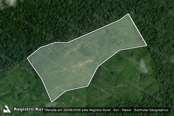 Imagem de satélite de Infração da Flora em Apuí - AM