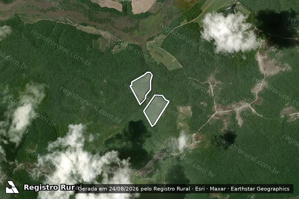 Imagem de satélite de Infração Ambiental em Santa Cruz Cabrália - BA