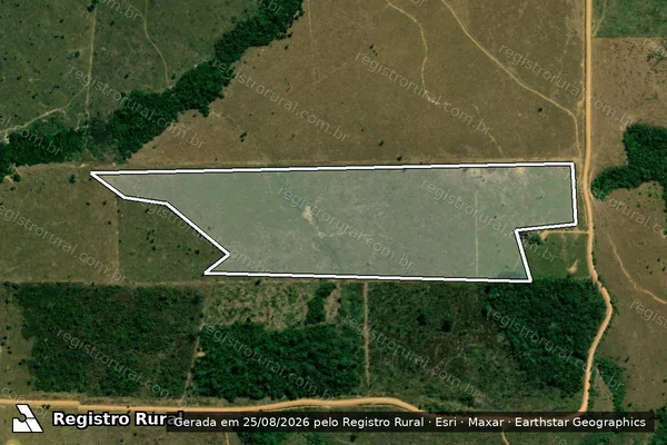 Imagem de satélite de Infração da Flora em Cujubim - RO