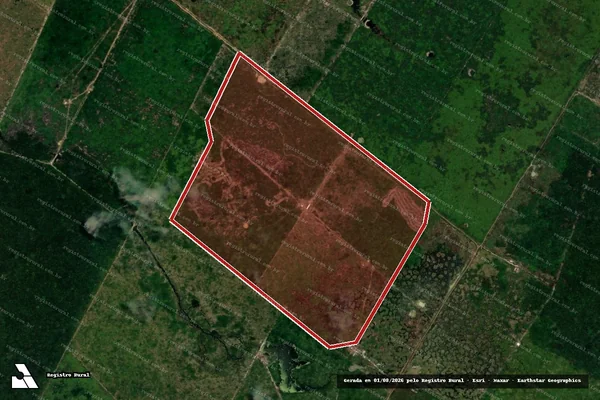Imagem de satélite de Infração da Flora em Porto Velho - RO