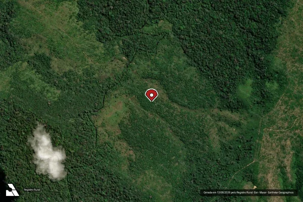 Imagem de satélite de Infração Ambiental em Apuí - AM (marcador da localização)