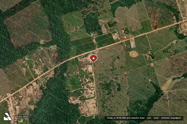 Imagem de satélite — Embargo IBAMA — Infração da Flora - Manicoré/AM