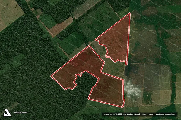 Imagem de satélite de Infração da Flora em Porto Velho - RO