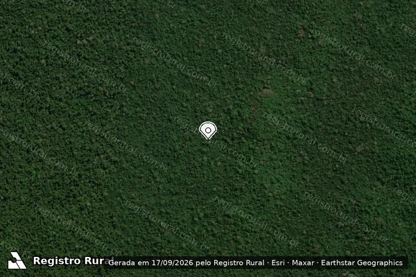Imagem de satélite — Embargo IBAMA — Infração da Flora - Altamira/PA