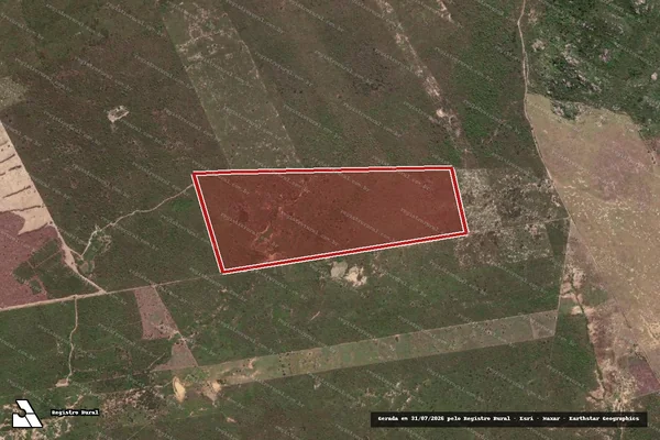 Imagem de satélite de Infração da Flora em Moreilândia - PE