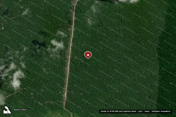 Imagem de satélite — Embargo IBAMA — Infração da Flora — Tailândia/PA