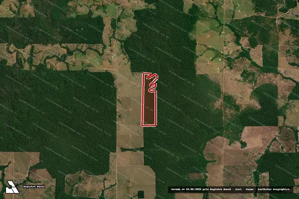 Imagem de satélite — Embargo IBAMA — Infração Ambiental - Pimenta Bueno/RO