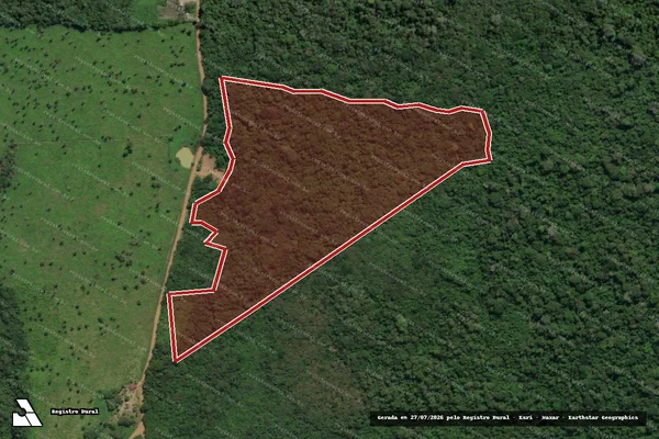 Imagem de satélite de Infração Ambiental em Mojuí dos Campos - PA