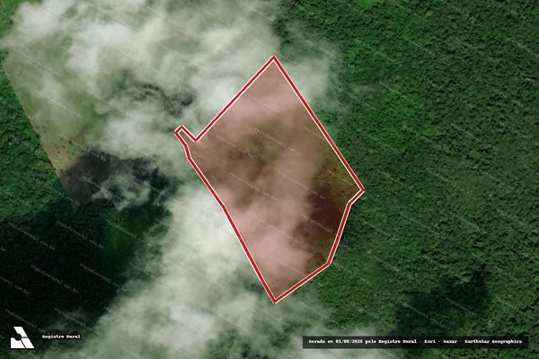 Imagem de satélite — Embargo IBAMA — Infração da Flora — Amajari/RR