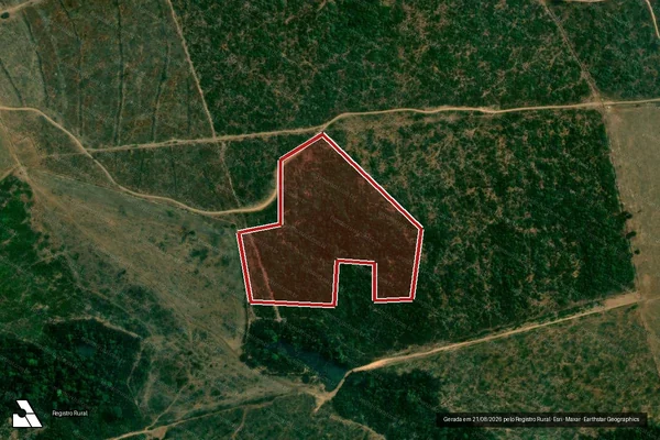 Imagem de satélite de Infração da Flora em Altamira - PA