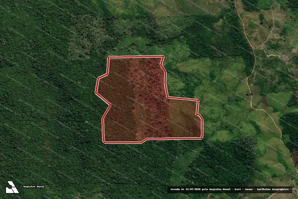 Imagem de satélite — Embargo IBAMA — Infração da Flora — Rurópolis/PA