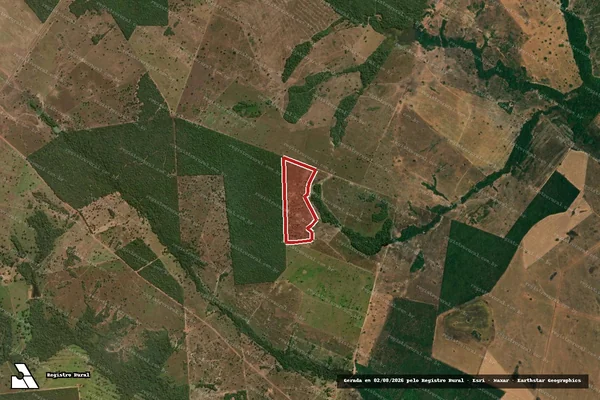 Imagem de satélite de Infração da Flora em São Miguel do Araguaia - GO