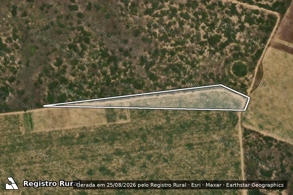 Imagem de satélite — Embargo IBAMA — Infração da Flora — Bodocó/PE