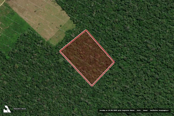 Imagem de satélite de Infração da Flora em Rorainópolis - RR