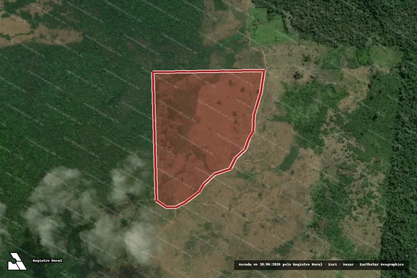 Imagem de satélite de Infração da Flora em Pacajá - PA