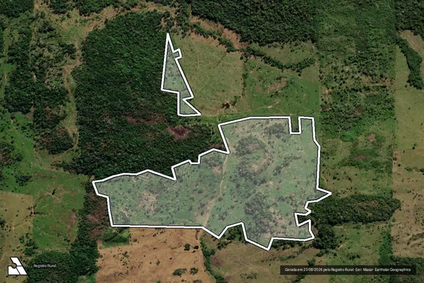 Imagem de satélite — Embargo IBAMA — Infração da Flora — Monte Negro/RO
