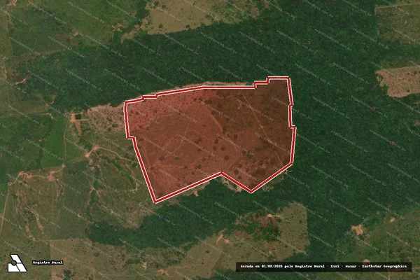 Imagem de satélite de Infração da Flora em Porto Velho - RO