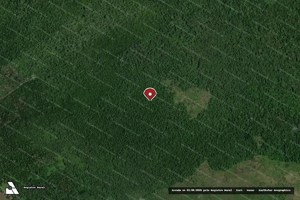 Imagem de satélite de Infração Ambiental em Monte do Carmo - TO (marcador da localização)