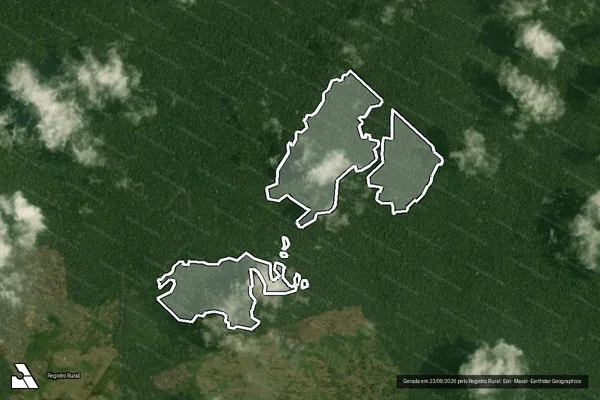 Imagem de satélite — Embargo IBAMA — Infração da Flora - Portel/PA