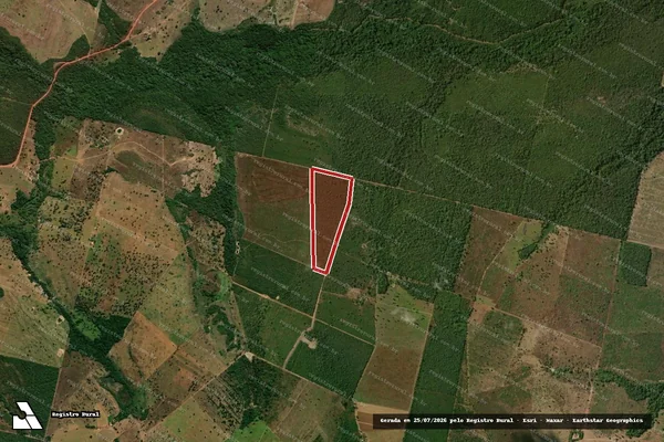 Imagem de satélite — Embargo Ambiental - Ribeirão Cascalheira/MT