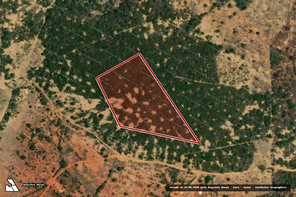 Imagem de satélite — Embargo IBAMA — Desmatamento — Belo Campo/BA