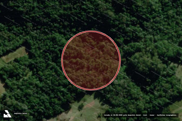 Imagem de satélite de Infração Ambiental em Dona Francisca - RS