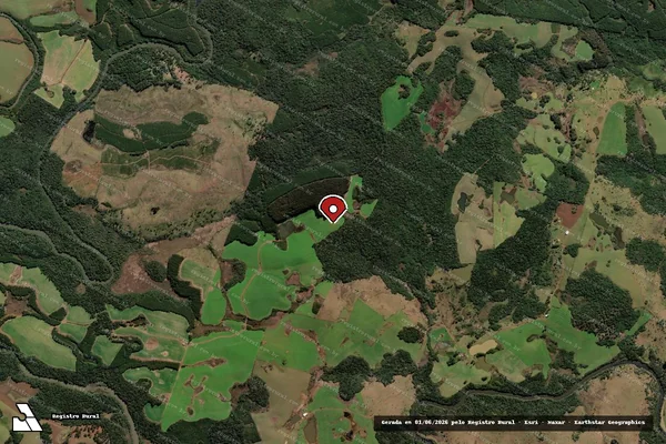 Imagem de satélite de Infração da Flora em Lebon Régis - SC (marcador da localização)